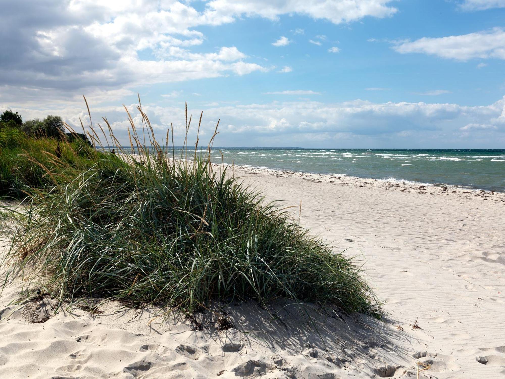 Buchenweg Whg.24, Friese, Eg Re Διαμέρισμα Insel Poel Εξωτερικό φωτογραφία